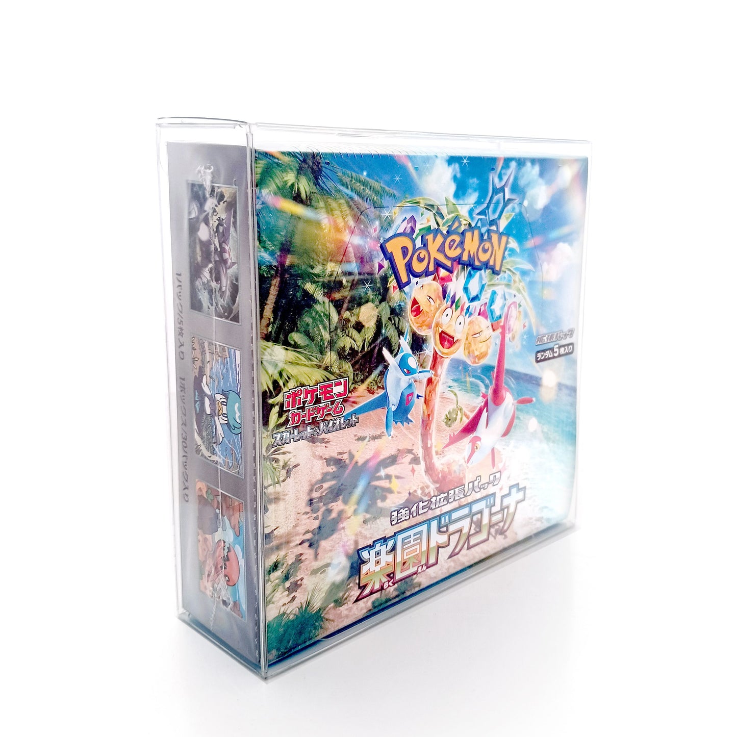 Plastic Case Japanese Box 30 Packs